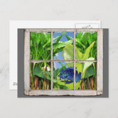 毒投げ矢のカエル ポストカード (正面/裏面)