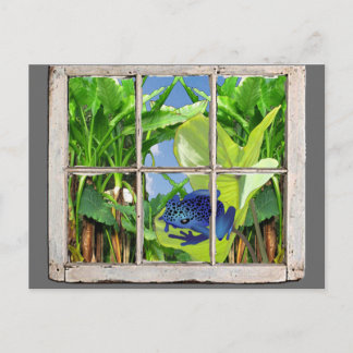 毒投げ矢のカエル ポストカード