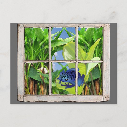 毒投げ矢のカエル ポストカード (正面)