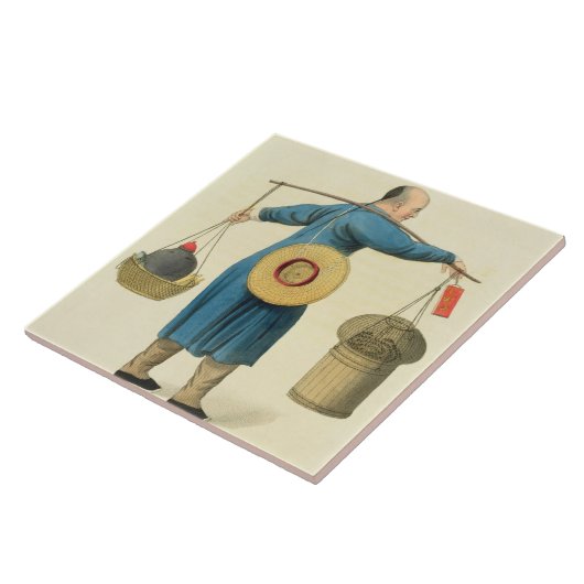 毒蛇の販売人は、「Chinの衣裳からの46をめっきします タイル (側面)