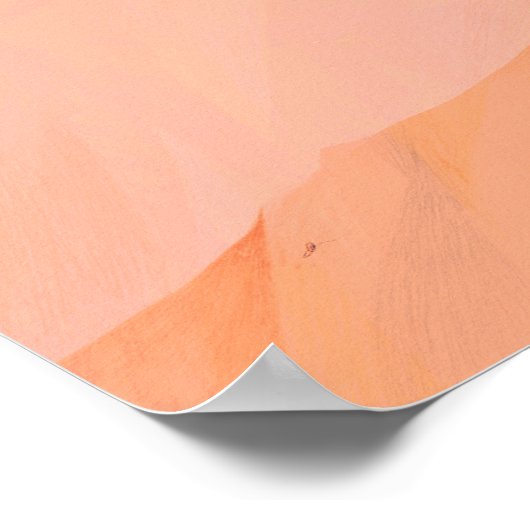 比毛 ポスター (角)