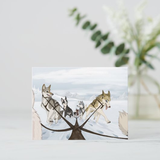 比毛 ポストカード (スタンド正面)