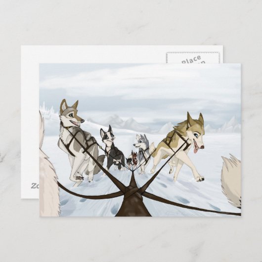 比毛 ポストカード (正面/裏面)