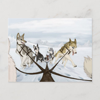 比毛 ポストカード