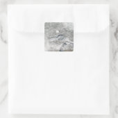 比較的珍しい氷の毛布 スクエアシール (バッグ)