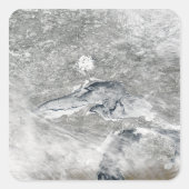 比較的珍しい氷の毛布 スクエアシール (正面)