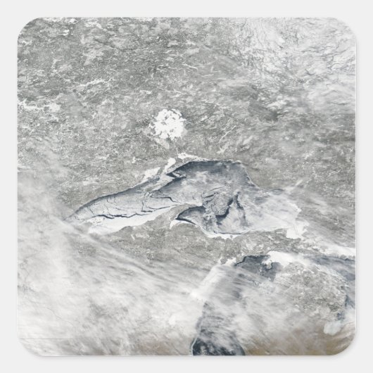 比較的珍しい氷の毛布 スクエアシール (正面)