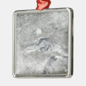 比較的珍しい氷の毛布 メタルオーナメント (左)