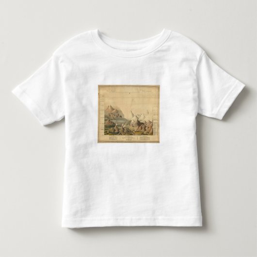比較眺め トドラーTシャツ (正面)