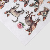 毛のないスフィンクス猫のセット 薄葉紙 (詳細)