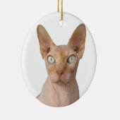 毛のないスフィンクス猫 セラミックオーナメント (右)