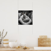 毛のないスフィンクス猫 ポスター (キッチン)