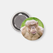 毛のないチンパンジー マグネット (正面/裏面)