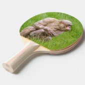 毛のないチンパンジー 卓球ラケット (正面アングル)