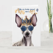 毛のないテリア犬のキングのための日おもしろい誕生日 カード (正面)