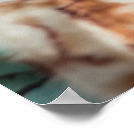 毛のない可愛い猫 ポスター (角)