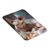 毛のない可愛い猫 マグネット (右側)