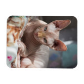 毛のない可愛い猫 マグネット (横)