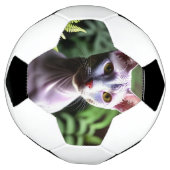 「毛のない猫のツナお洒落とシルキー」 サッカーボール (回転)