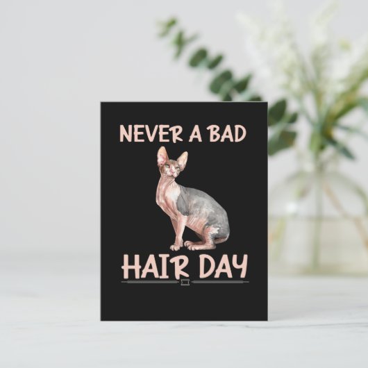 毛の無いおもしろい猫スフィンクスのヘアユーモア ポストカード (スタンド正面)