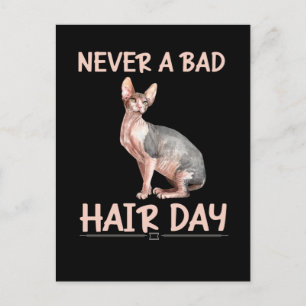 毛の無いおもしろい猫スフィンクスのヘアユーモア ポストカード