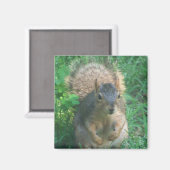 毛の生えた尾の磁石 マグネット (正面/裏面)