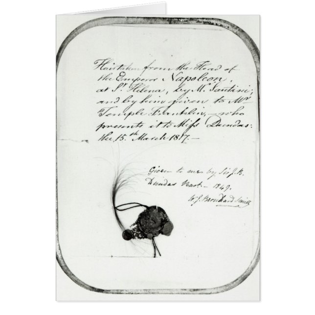 毛は皇帝ナポレオンの頭部から切れました (正面)