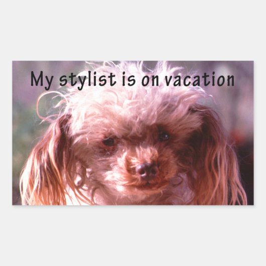 毛むくじゃらのヘアドッグ 長方形シール (正面)