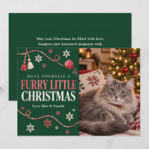毛むくじゃらの小さなクリスマスの猫の写真