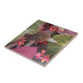 毛カラフル毛ベゴニアフローラ タイル (側面)