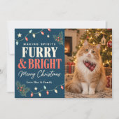 毛並み輝くクリスマス 猫 シーズンカード (正面)
