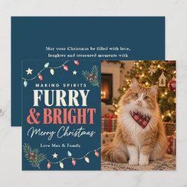 毛並み輝くクリスマス 猫 シーズンカード