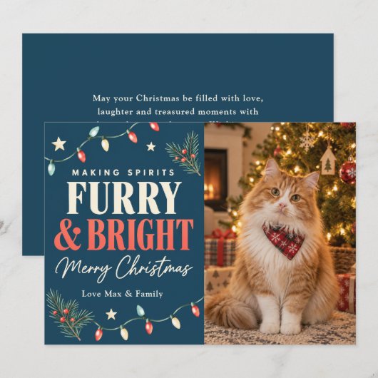 毛並み輝くクリスマス 猫 シーズンカード (正面/裏面)