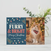 毛並み輝くクリスマス 猫 シーズンカード (スタンド正面)