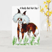 毛中国のの生えた犬、髪の毛の日 カード (黄色い花)