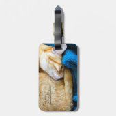 毛布でカールしたオレンジ色の猫 ラゲッジタグ (裏面縦)