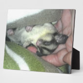 毛布で寝るグライダー フォトプラーク (側面)