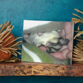 毛布で寝るグライダー フォトプラーク (側面)