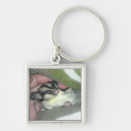 毛布で眠るシュガーグライダー キーホルダー