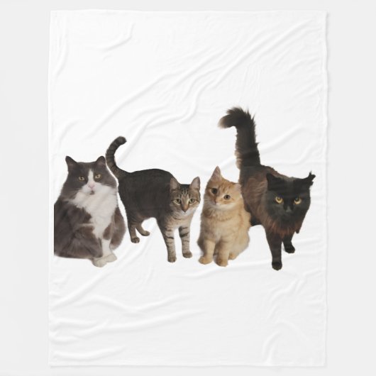 毛布にいる猫 フリースブランケット (正面)