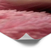 毛布に入った暖かい子猫 ポスター (角)