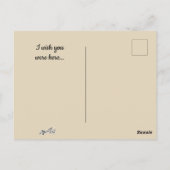 毛布に入った豚 ポストカード (裏面)