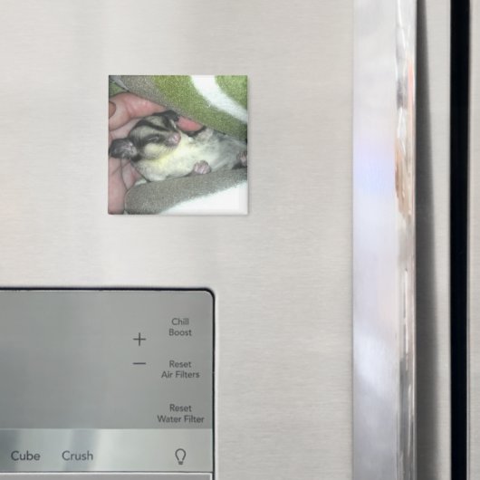 毛布に眠る砂糖滑空機 マグネット (インサイチュ (冷蔵庫))