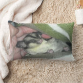 毛布に眠る砂糖滑空機 ランバークッション (ブランケット)