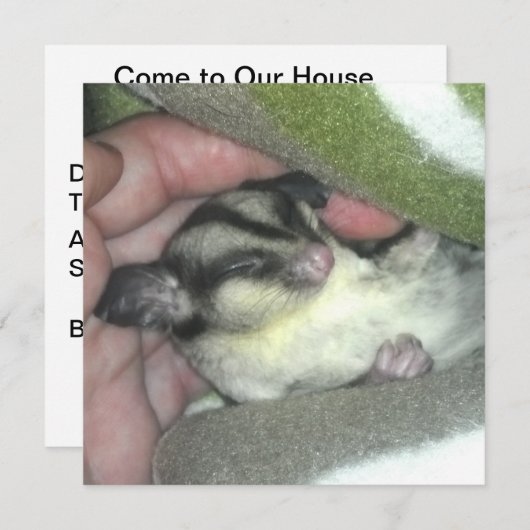 毛布に眠る砂糖滑空機 招待状 (正面/裏面)