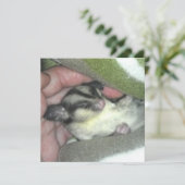 毛布に眠る砂糖滑空機 招待状 (スタンド正面)