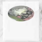 毛布に眠る砂糖滑空機 楕円形シール (バッグ)