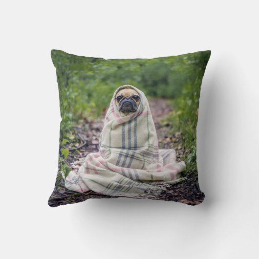 毛布のパグ クッション (裏面)
