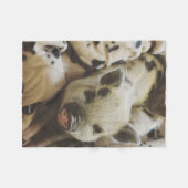 毛布のベビーのコブタ フリースブランケット (正面(横))