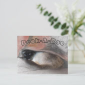 毛布の下で子猫恋しく思を見てみたまえ ポストカード (スタンド正面)